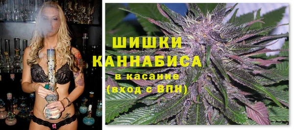 амф Арсеньев