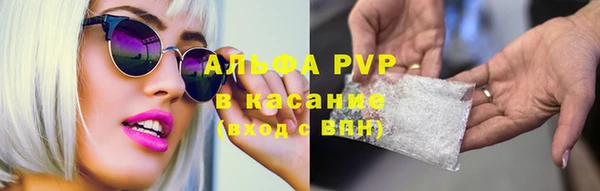 амф Арсеньев