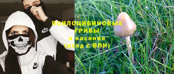 прущая мука Армянск