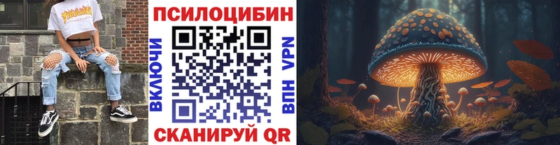 Псилоцибиновые грибы Psilocybe  купить наркотик  мега онион  Белая Холуница 